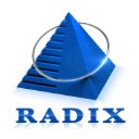 Radixweb